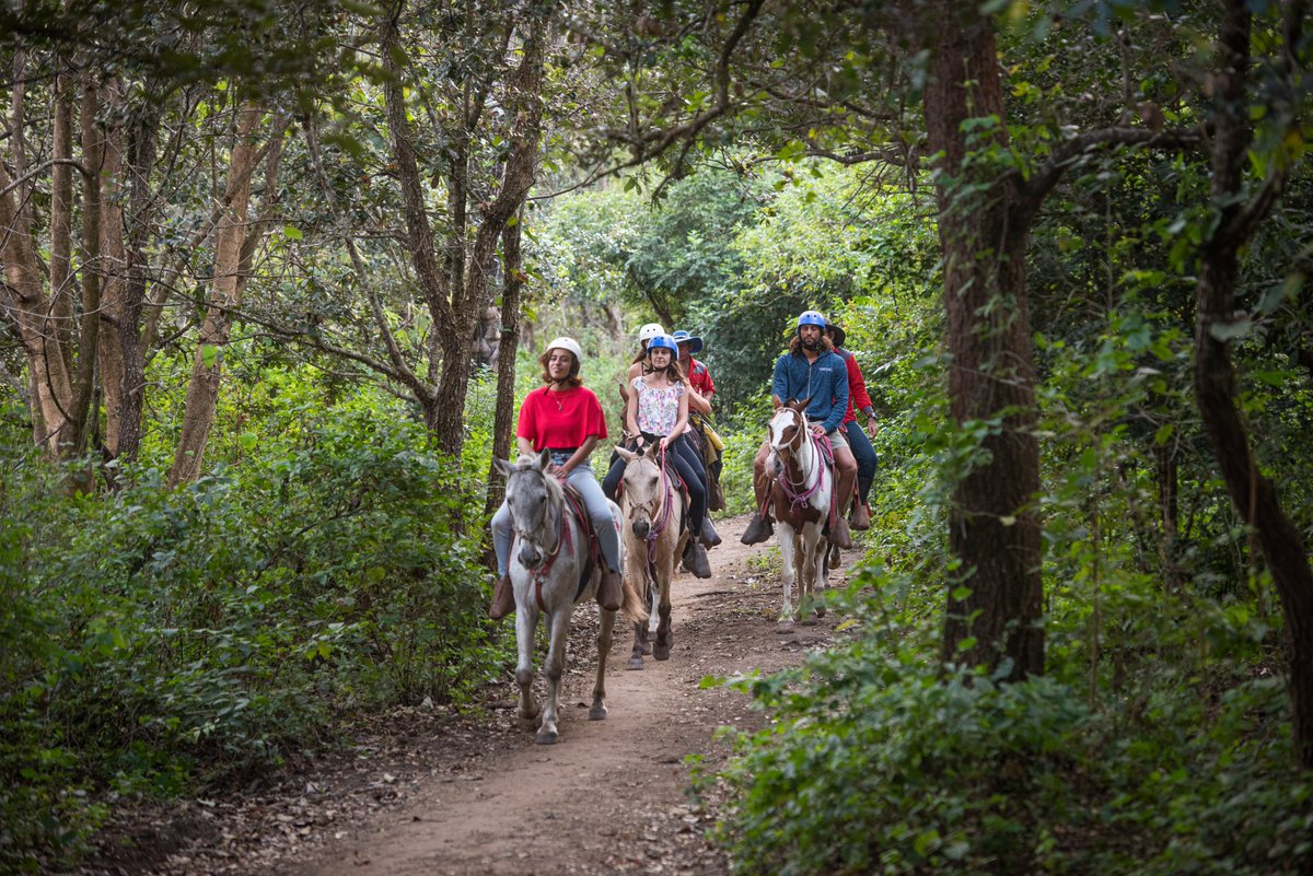Saddle up for a delightful, scenic trail ride on one of Hacienda Guachipelin’ beloved horses. Enjoy nature’s symphonic serenade and look for tropical birds and wildlife along the way.  #horsebackriding #Travel #haciendaguachipelin #CostaRica  #explore #rincondelavieja #guanacaste