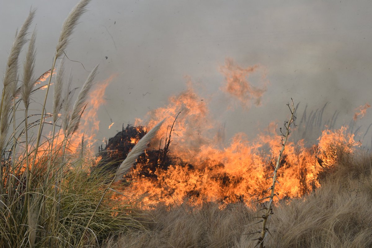 VickyCas16's tweet photo. Capacitación incendios forestales Nivel 1. No tengo palabras de agradecimiento por los compañeros que me tocaron para formar este hermoso grupo y aún más con los B.V de Daireaux que nos recibieron, capacitaron y nos hicieron sentir como en casa. Una calidez humana inexplicable ❤ https://t.co/VRkQ0xjl5Q