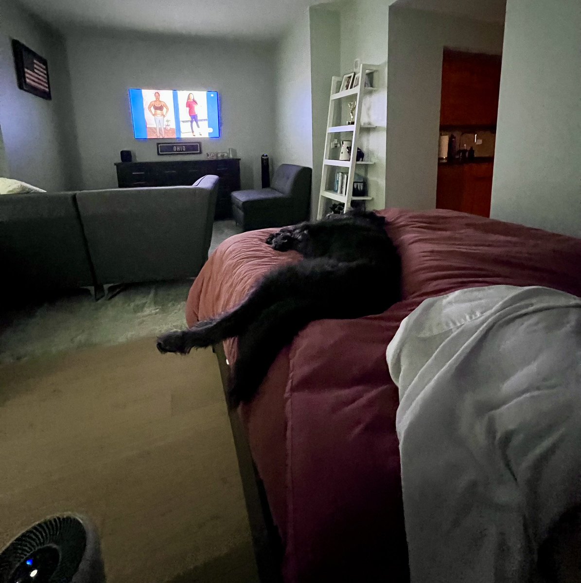 GriffinFrank's tweet photo. I’m winning the #bedwar tonight. https://t.co/T02sAN54UA