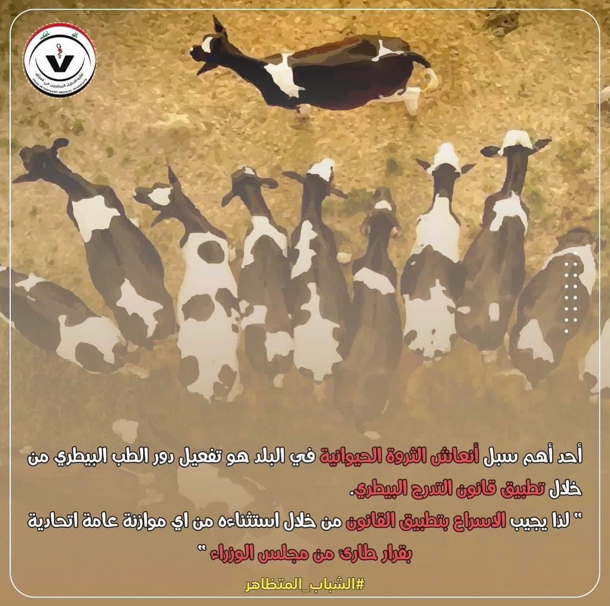 AlfarhadDr's tweet photo. نطالب باطلاق استمارة التوظيف 
وتفعيل قانون التدرج الطبي البيطري

#انتقاضة_الطبيب_البيطري
#قانون_التدرج_الطبي_البيطري
#التويتر_بيطري https://t.co/OfFuxxIfKi