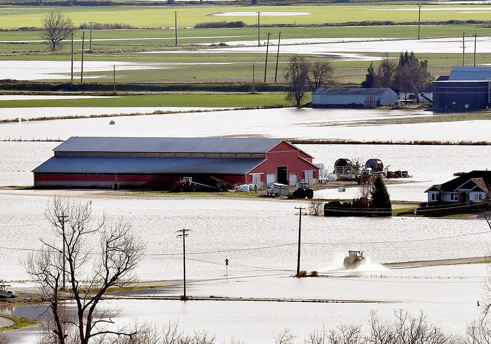 AgSafeBC's tweet photo. Anyone in #BC who owns or cares for livestock must register their premises as of July 1 under a mandatory program that helps producers deal with emergencies such as natural disasters or disease outbreaks. Read @westernproducer https://t.co/fcTZbY0Nv3
#BCfarming #BCranching https://t.co/dqOJE9U8Jq