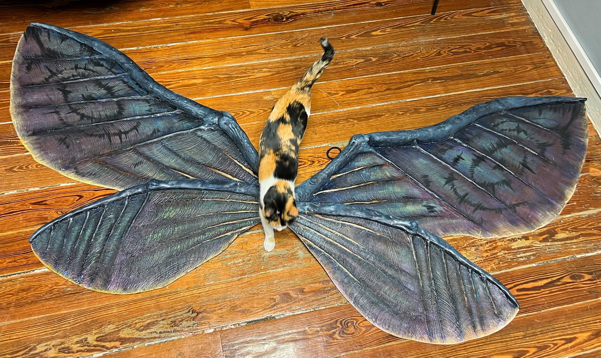 Anhyra on Twitter "Ay ay ay I’m your michi butterfly"