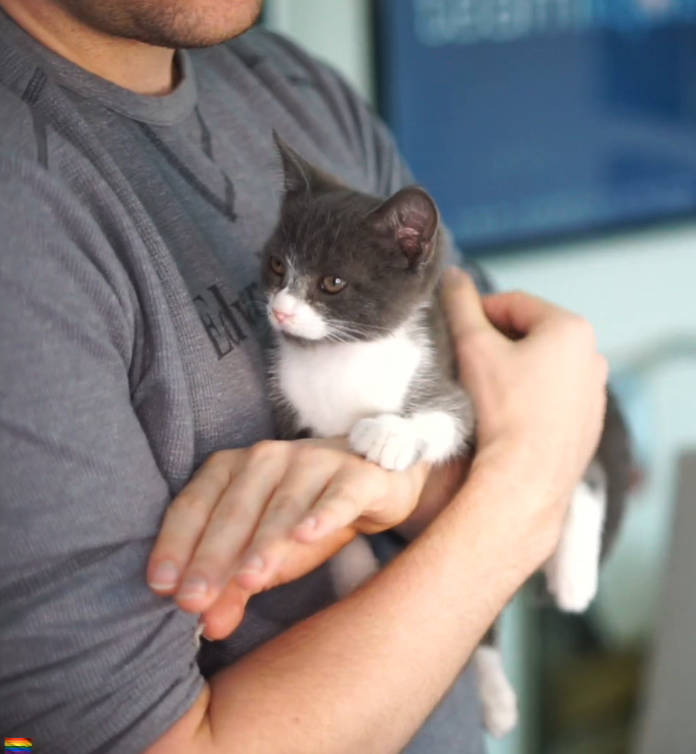 he will make millions.