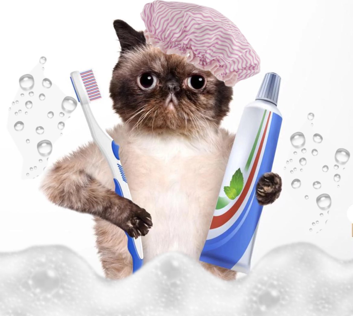 pussy tight pussy clean pussy fresh