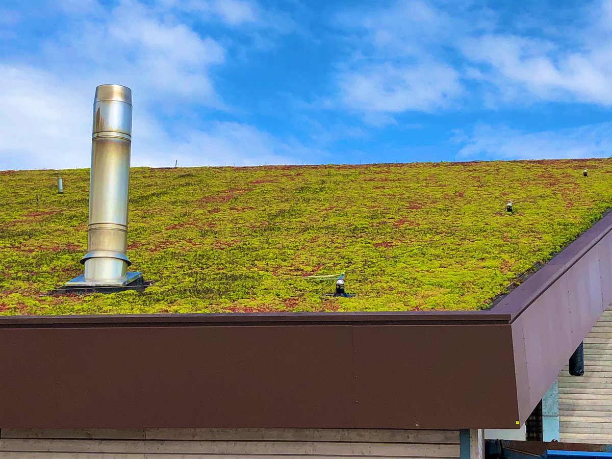 One of the impressive features of the new Lagg Distillery is its green roof! I don’t know the details behind this, but I would love to find out. @Aman_Badhwar @Arranwhisky