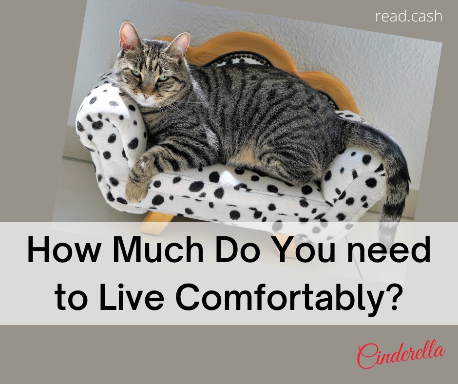 Everyone wants to live a comfortable life. Though comfortable may have a different meaning for each and every one of us. #comfortable_life #basic_needs #food #minimum_wage
read.cash/@cinderella/ho…