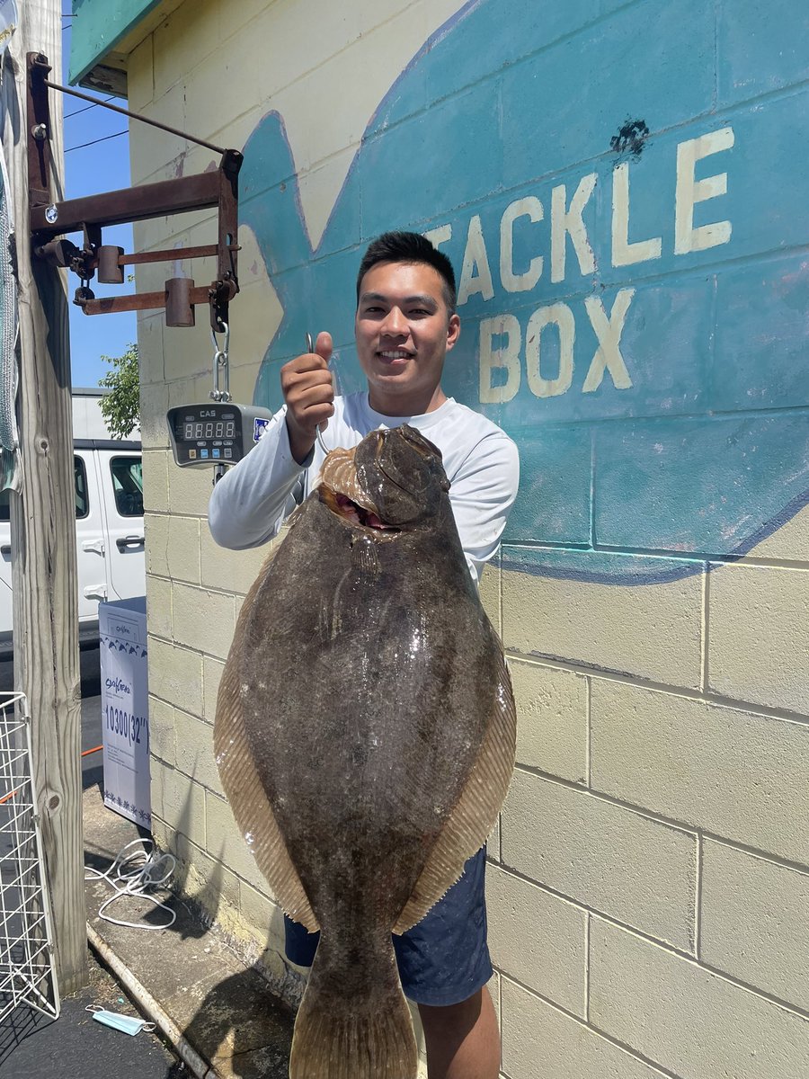 TACKLE BOX tweet media