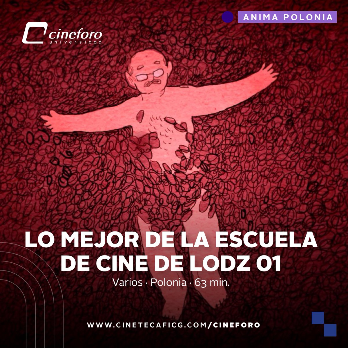 CineforoUdeG's tweet photo. #ÚltimosDías de #AnimaPolonia, ¡vente a disfrutar de esta selección de cortometrajes experimentales y de animación al #CineforoUdeG!

Consulta horarios 👉 https://t.co/Y5sAH0Hi0v https://t.co/cblP7Lfhq2