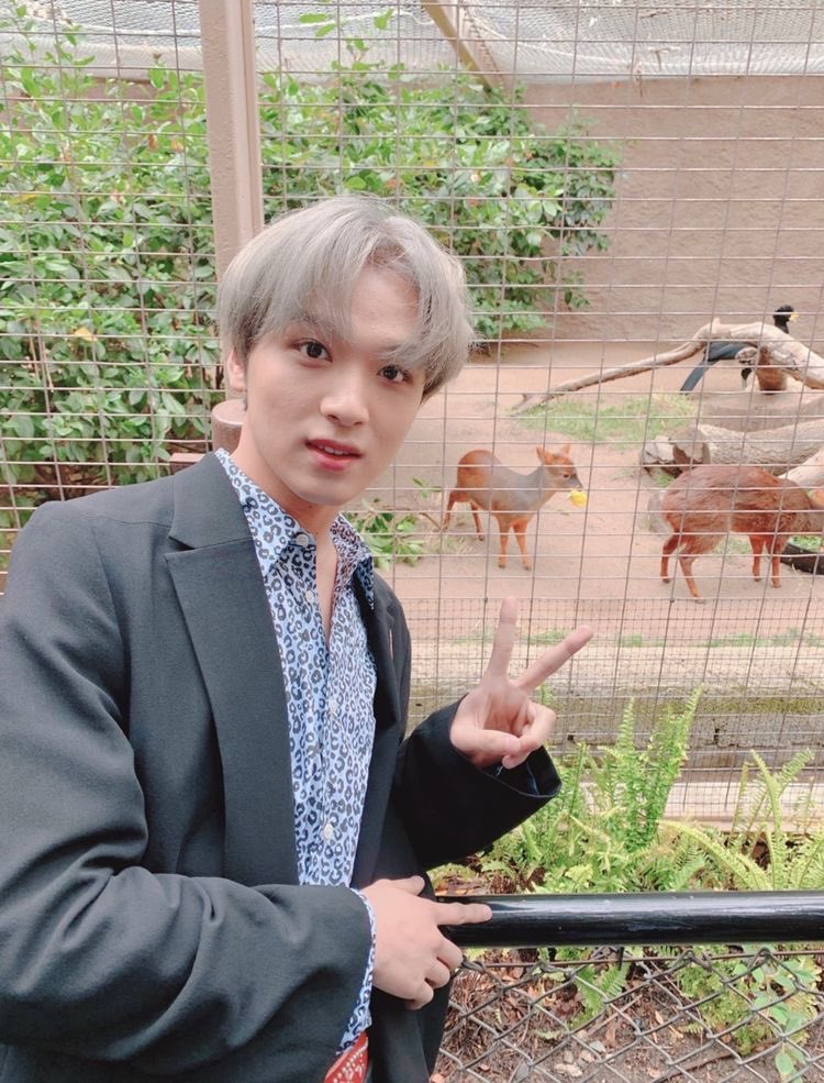 Update KBoys tweet media