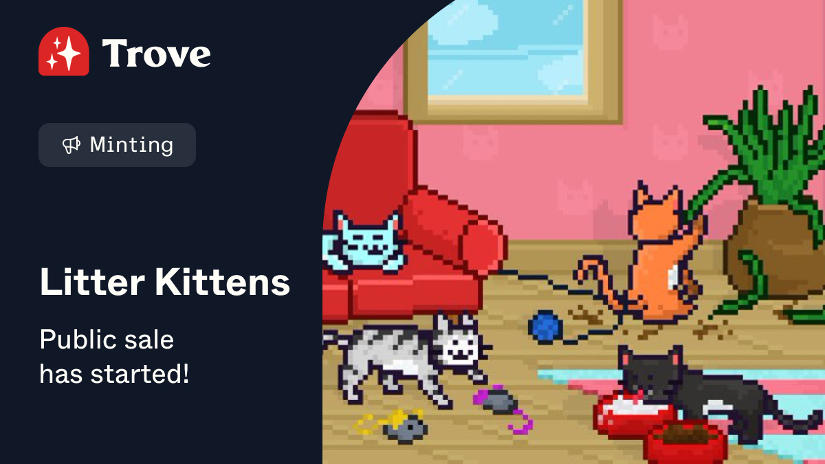 Tomasz Kowalczyk tweet media