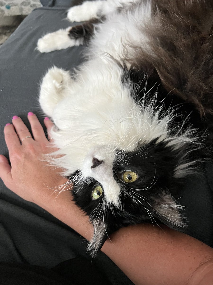 Layin wif mama. I’m an old girl so I dont do a lot. Layin wif mama is my fabrit thing