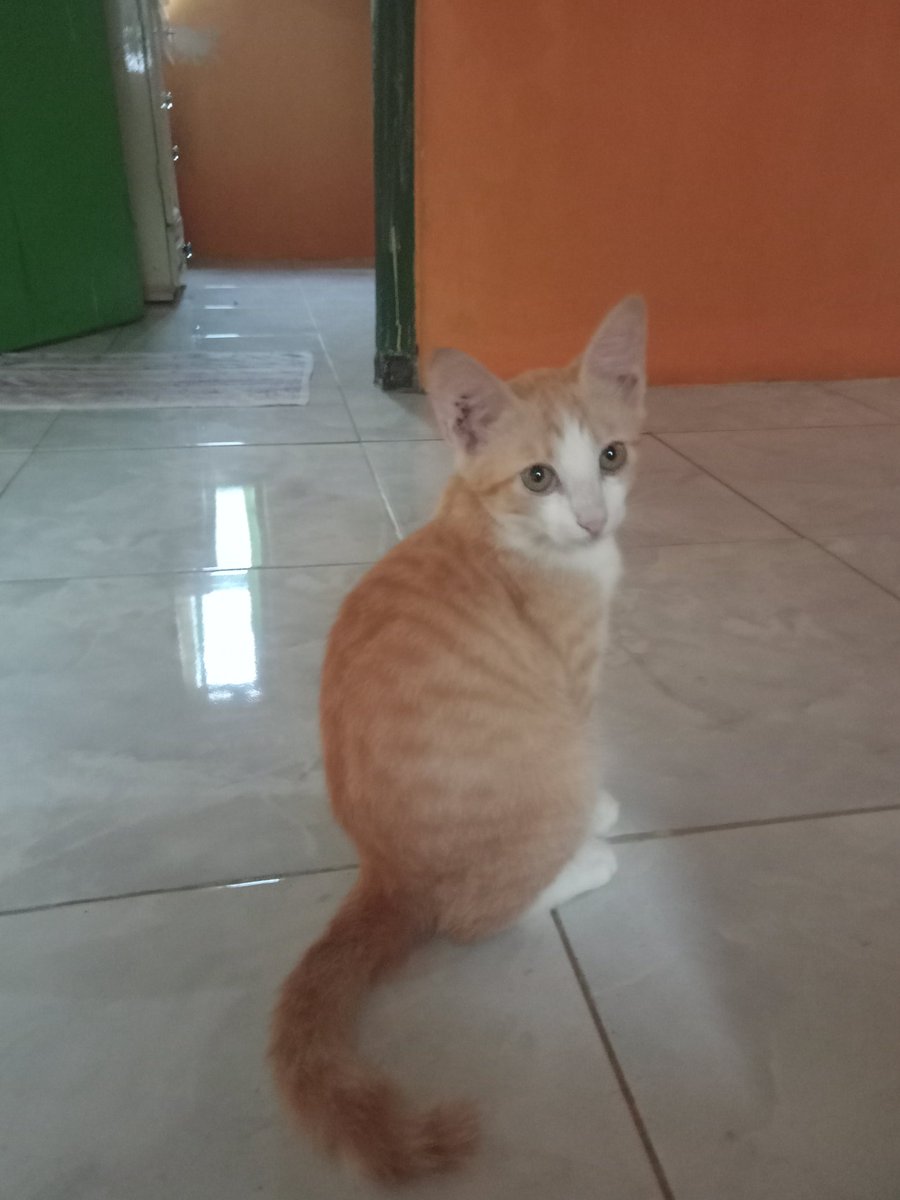 Wied19037045's tweet photo. Jika memilih ,hanya untuk berpisah
Mengapa kita harus memilih
meski seribu alasan ketidak cocokan kita temukan...๐ค
*Wied*๐๐น
#slmtpagi๐ค
#jagahatiโค๏ธ
#jagajariโ๏ธ
#jolalingopiโ
Better be Alone..... https://t.co/oglXzR3p9n