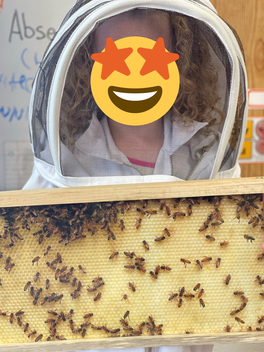 Learning about the life cycle of honey bees with some of Wilton’s Groves new bee keepers! Great job 🐝🍯
#honeybees #beekeepers #students #tvdsb 
<a href="/wilton_grove/">Wilton Grove P.S.</a> <a href="/TVDSB/">Thames Valley DSB</a>