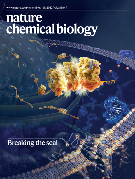 Awesome to see our recent paper highlighted on the cover of Nature Chemical Biology @nchembio! Amazing artwork from Maayan Harel @maayanvisuals! Thank you, Maayan! 'Ribosome stalling during selenoprotein translation exposes a ferroptosis vulnerability' nature.com/nchembio/volum…