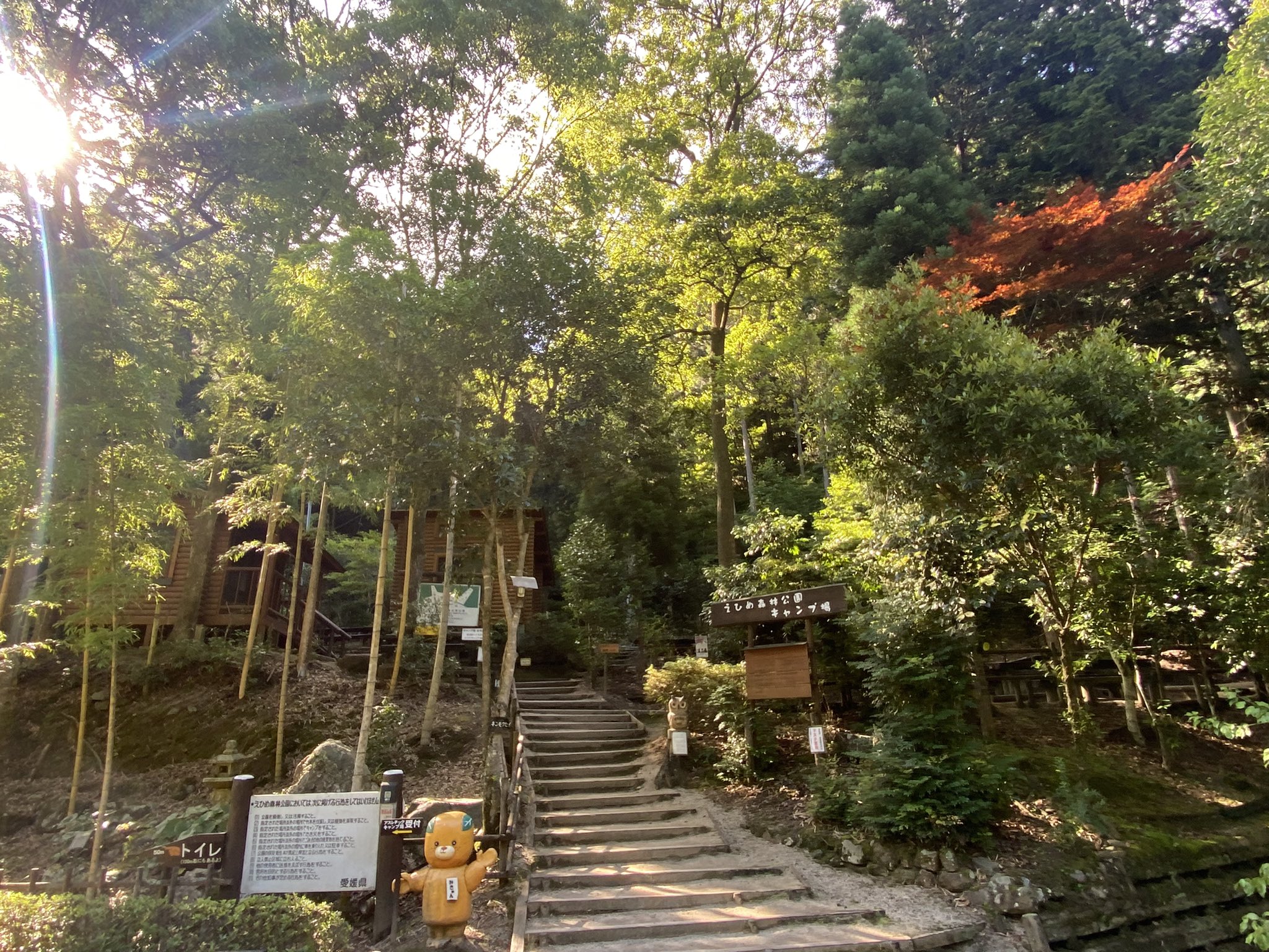 えひめ森林公園 Twitter Search Twitter