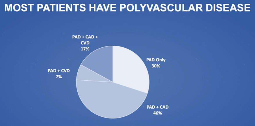 cardiomet_CE's tweet photo. 8a) Most #PAD patients have #polyvascular disease--clinically evident #atherosclerosis in multiple arterial beds, with “cross risk” between different #atherothrombotic manifestations. 
Polyvascular disease is a malignant cardiovascular disease with worse outcomes https://t.co/GC8tFx5FaZ