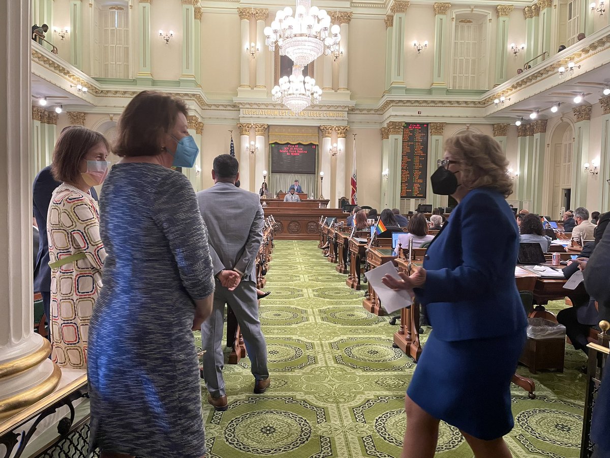 Such an honor to join @NancySkinnerCA, @SenToniAtkins, @AsmReyes47 & @Rendon63rd on the Assembly Floor today as #CaLeg #SCA10 was passed. #PostRoe