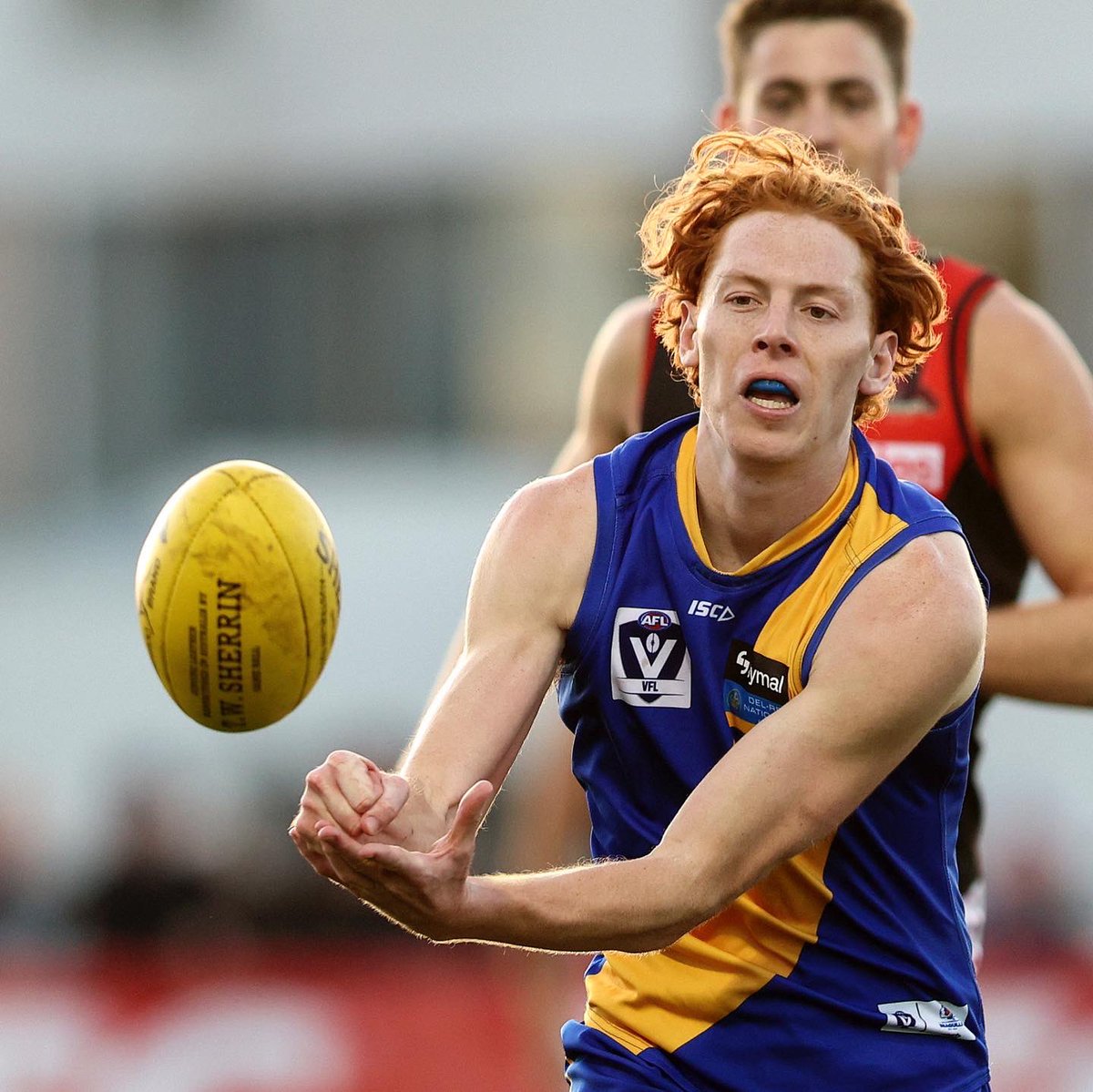 WilliamstownFC's tweet photo. @MaxPhilpot. 

That’s it, that’s the caption. https://t.co/jbdE7Lbsgf