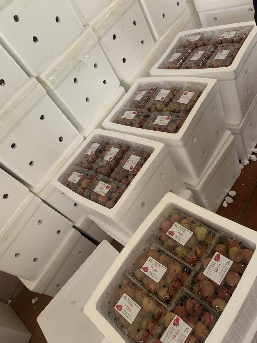 Jumeshmos Trading (Pty) Ltd (@jumeshmosgroup) on Twitter photo Season: June & July.
Thin skin, sweet, thick flesh, nice aromama and taste delicious.
#southanafricanlychee #lychee
#thieulychee
Loading by air from Jhb to EU weekly
Contact us for order:
π© Email: info@jmmgp.com
π² WhatsApp: +27 78 641 0441 Season: June & July.
Thin skin, sweet, thick flesh, nice aromama and taste delicious.
#southanafricanlychee #lychee
#thieulychee
Loading by air from Jhb to EU weekly
Contact us for order:
π© Email: info@jmmgp.com
π² WhatsApp: +27 78 641 0441