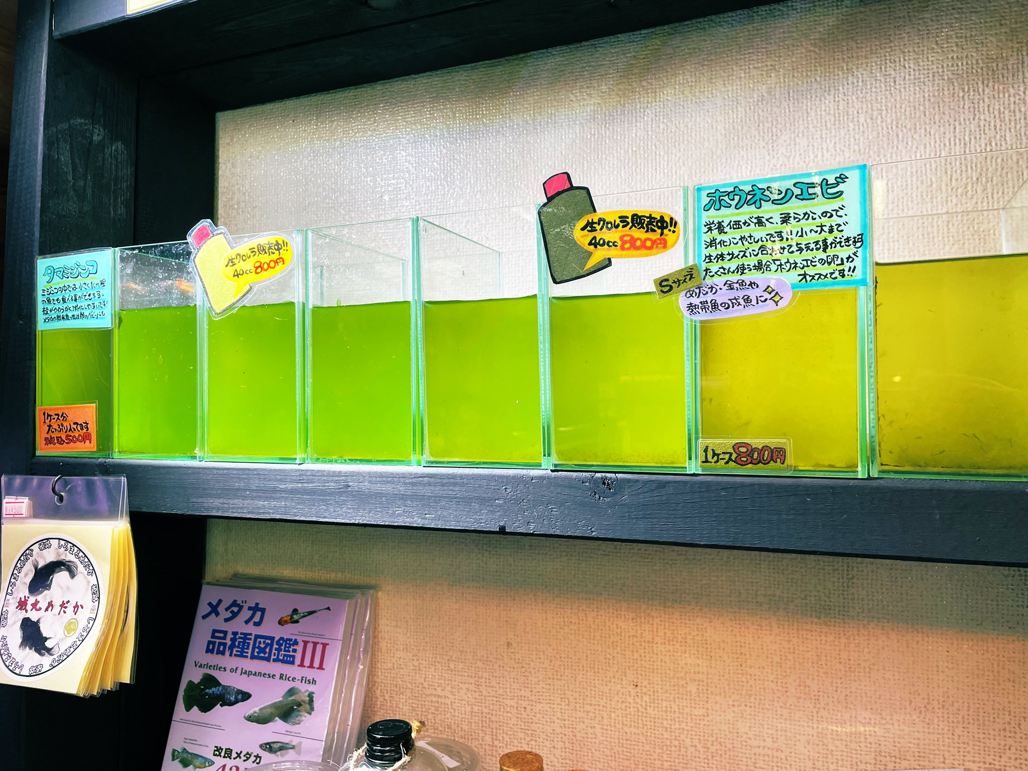 活餌販売 Twitter Search Twitter