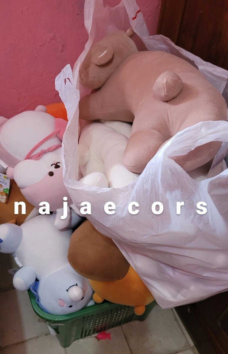 najaecors's tweet image. [help rt!] hello warga twitterr, aku mau clereance sale barang-barang dari koreaa sebelum balik lagi! ada kolbuk, keychain, washi tape, jajanan ringan, kanu, dan terlucuuu boneka daisooo &amp;amp; sebagaainyyyaaw 🥺💐💗 bakal aku sale ditiktok ya, yang mau link nya ada dibawah, tysm🥺💗