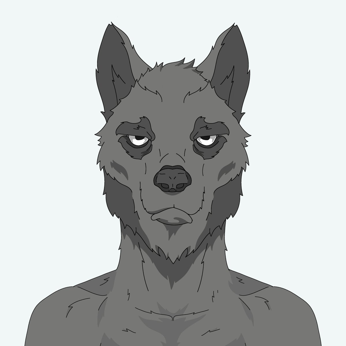 Alphα Wolves tweet media