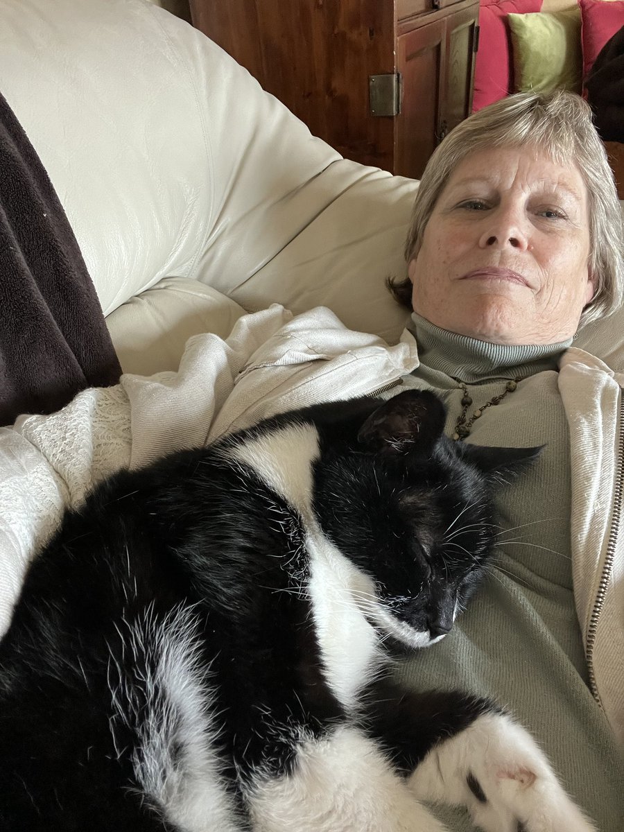 adnice12's tweet photo. Said goodbye to this sweet guy today. He was my parent’s kitty until they passed and I inherited him. When I was cleaning out his crate to give away, my mom’s ring fell out. She must have known I would need a little special love on this sad day. #RIPBo https://t.co/MzSGoX0y6w