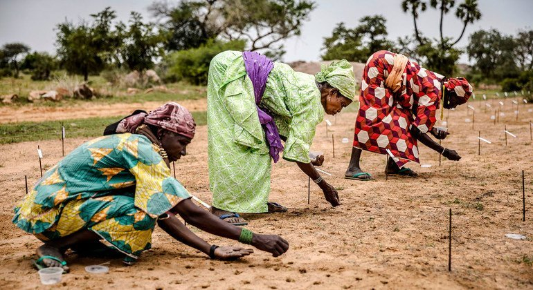 OlumideIDOWU's tweet photo. To increase their resistance to climate issues, more young women in rural Africa must be given the information, resources, & skills necessary to live climate-smart lives. #WhatHasChanged to build a sustainable home for #Women4ClimateFinance?
#OnlyOneEarthNG @PACJA1 @CSDevNet1 https://t.co/2zIdjvf9km