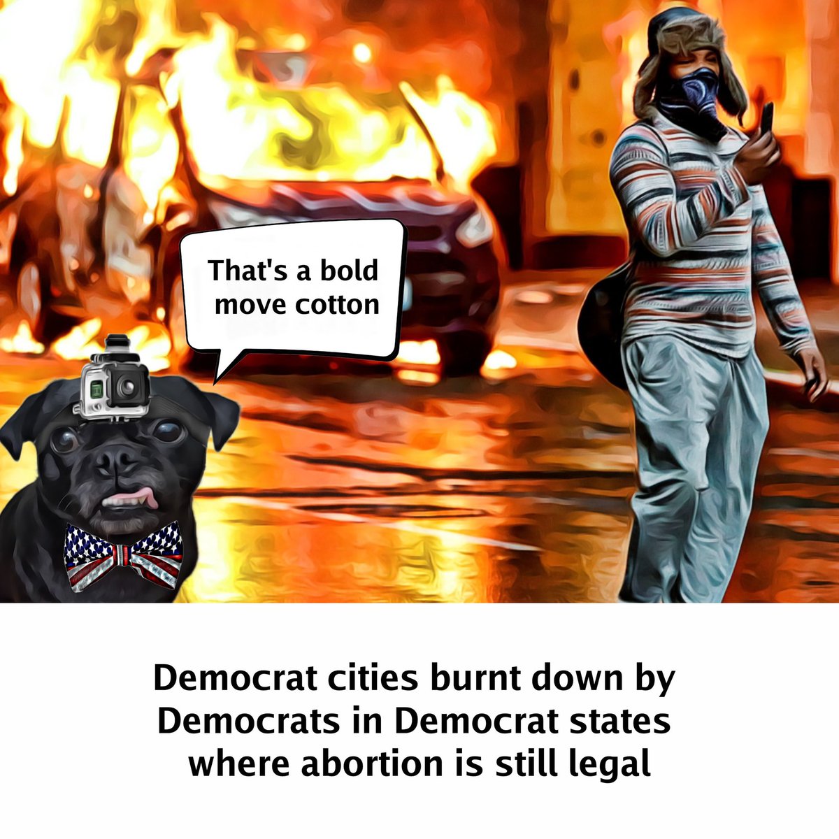 thefreedompug's tweet photo. That’s a bold move cotton, let’s see how it plays out.

#roevwade #democrats #uspolitics #dodgeball #biden #cnn #foxnews #mybodymychoice #satire #meme https://t.co/IY5TmapV5r