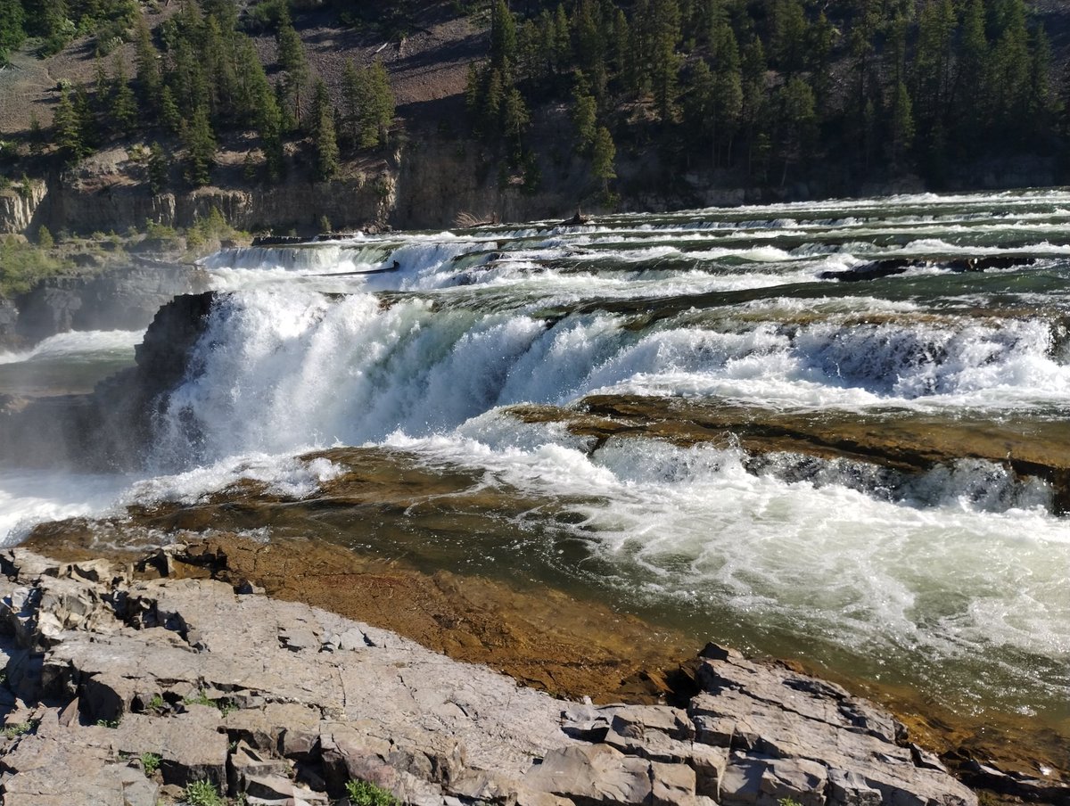 Pete Morris tweet media