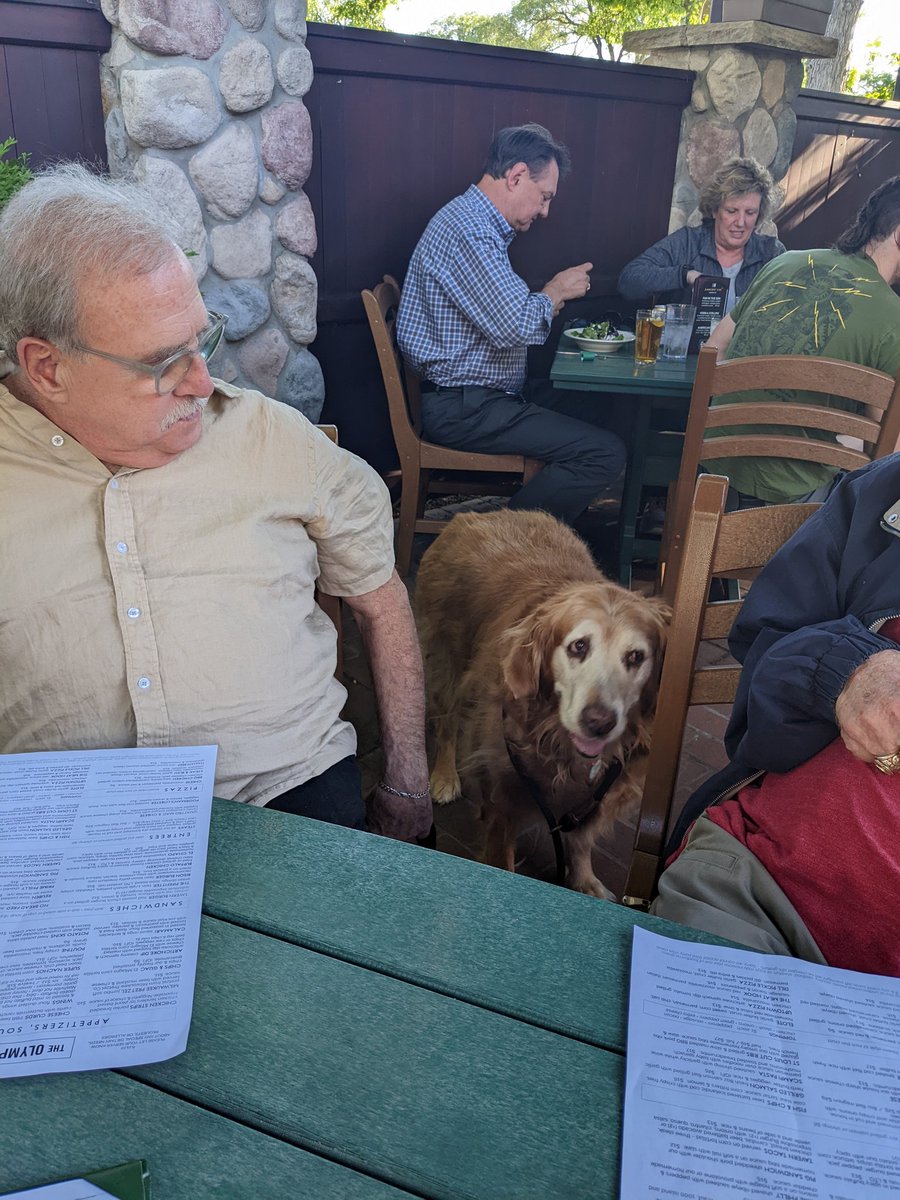 OlympicTavern's tweet photo. So many good doggos on the patio tonight for our every Monday #PintsForPups night! https://t.co/G3jUh5BN4D