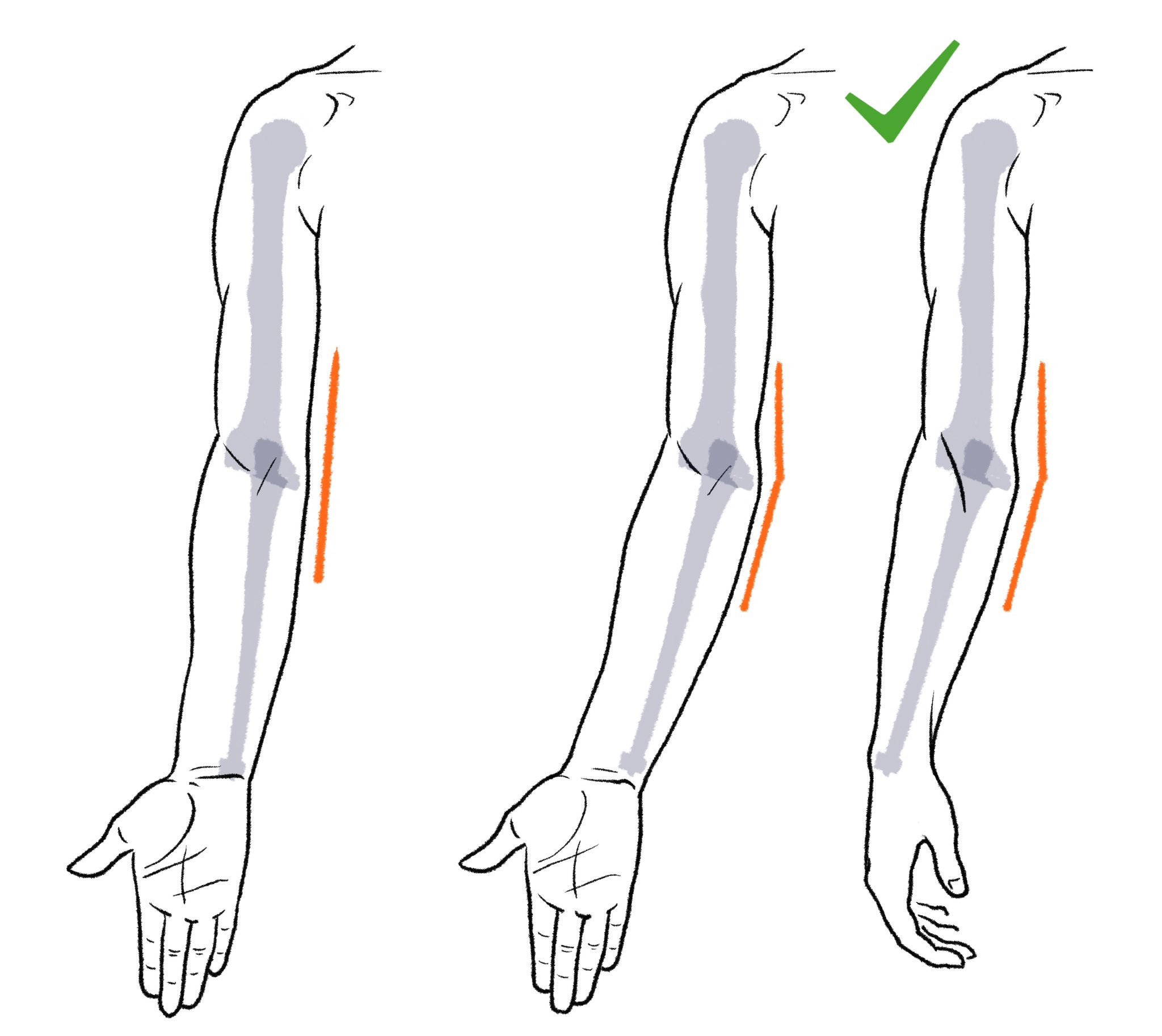 伊豆の美術解剖学者 正面から見た肘は外向きに少し曲げると表現が自然になります この角度は 運搬角 と言います T Co Fhzx9gklf1 Twitter