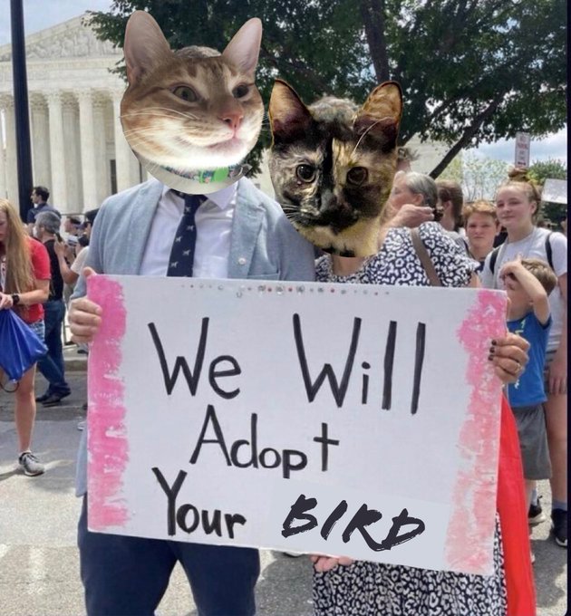 Two weeks individuals with frumpy human bodies and cat heads. They are holding a sign that says We Will Adopt Your Bird