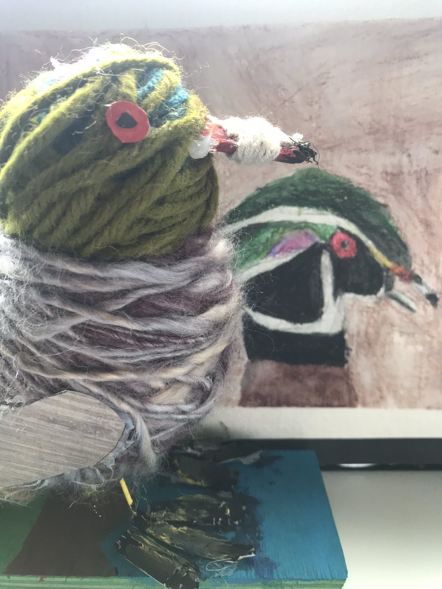 Students also created a written piece and a watercolour representation of their wetland bird, after researching their bird’s adaptations to survive. Most exciting was when they could identify “their” bird on local wetland field studies! @fsd38 <a href="/MeadowRidgeFSD/">Meadow Ridge School</a>