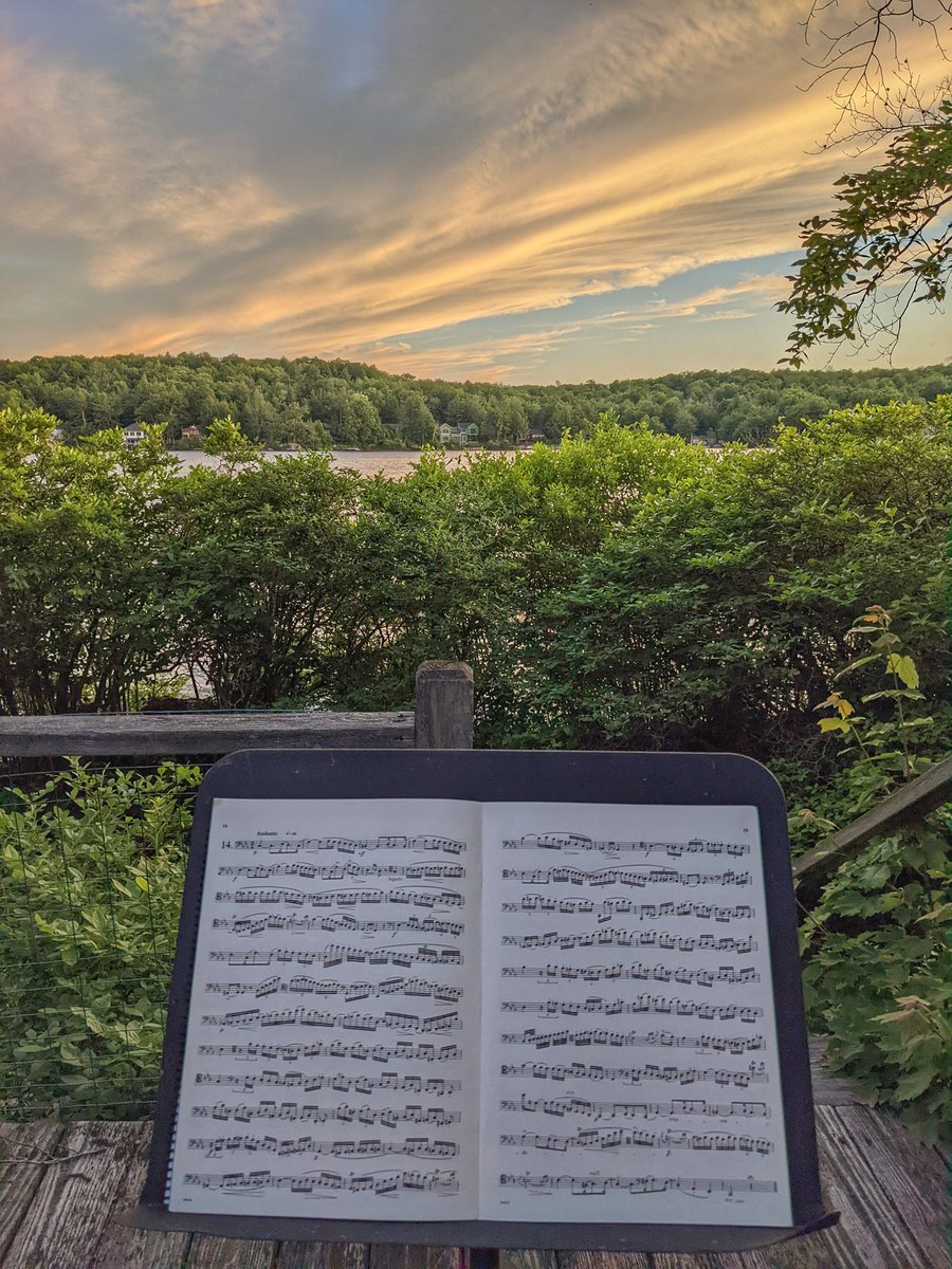 Just practicing for the blueberry bushes