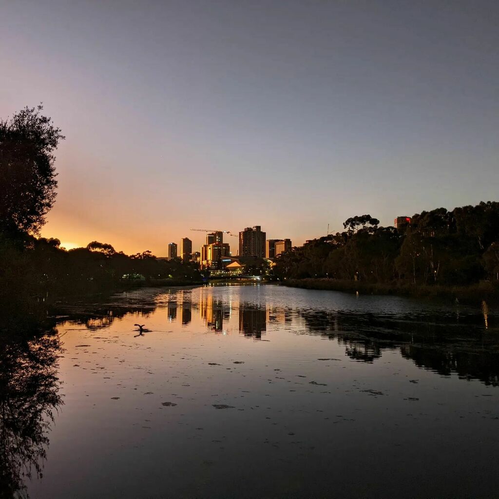 sparky_moira's tweet photo. #radelaide turning it on for the #awitc22 run group this morning. Company, a chat & a coffee. πβππ #wine #oak #roadtrip #workperks https://t.co/MArfv9aUdd https://t.co/FPPiMQeu4u