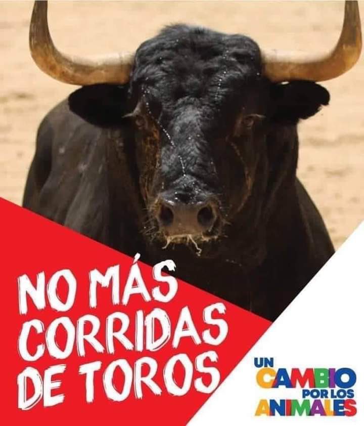 Genesis⭐️⭐️⭐️ tweet media