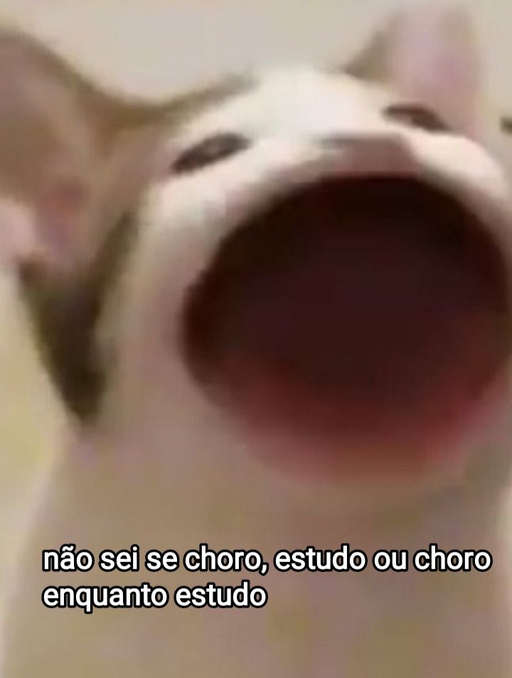 Trouxinha (@euovitinn) on Twitter photo 
