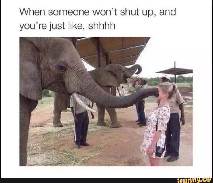 Shhhhh 🤫🤣