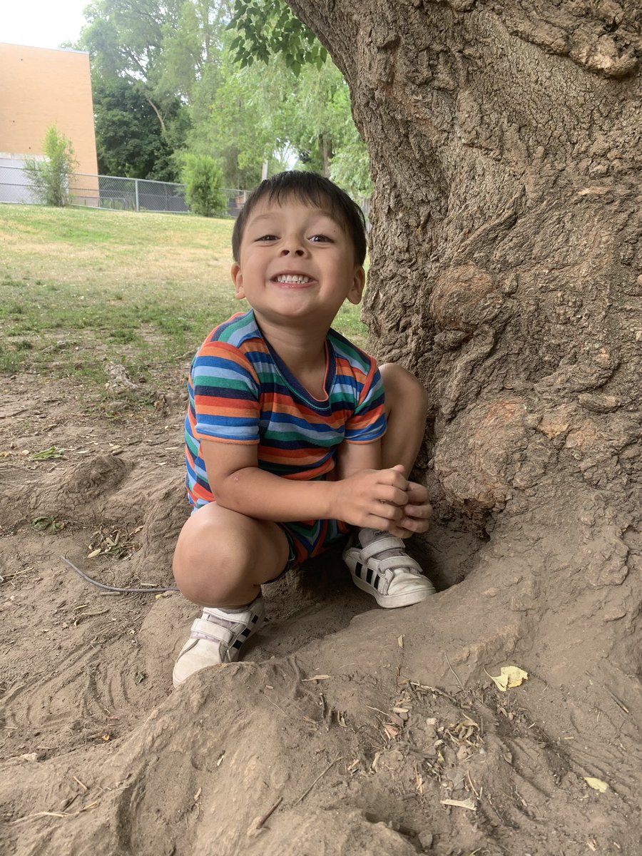 Ms. De Acetis tweet media