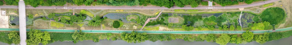 falcontm65's tweet image. 2022.06.18 탄천에서...

탄천수내습지

 #성남시 #분당구 #탄천 #수내1동 #탄천수내습지