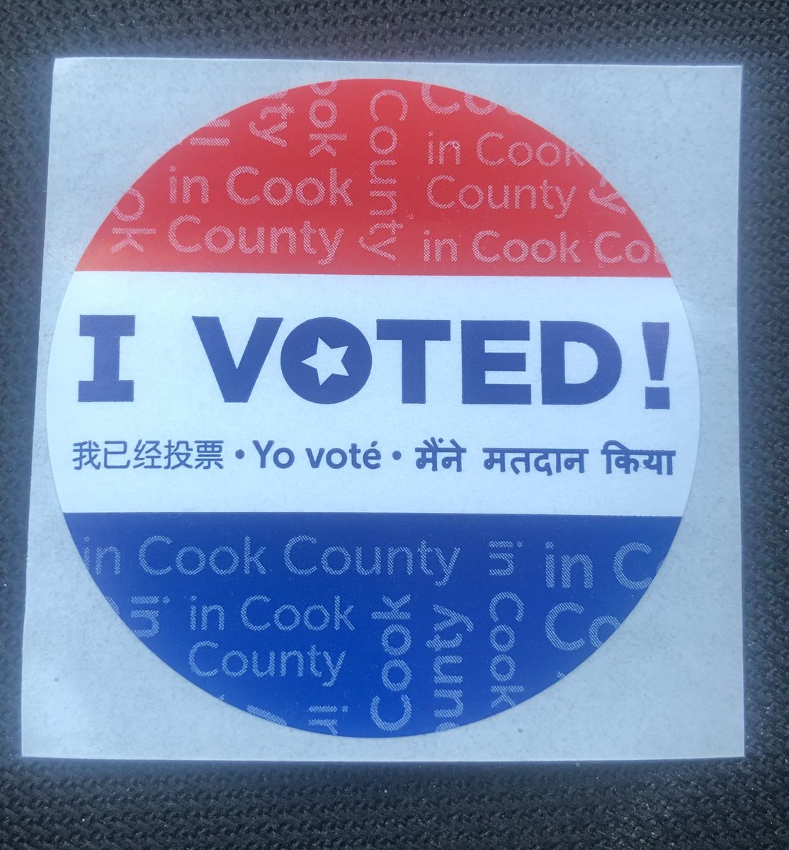 RT @SarcasmFont1: I voted today. Illinois primary. Tomorrow is Election Day. https://t.co/WB3mXeYsZF