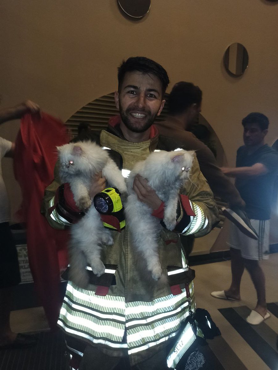 Gecenin masum mağdurları :)