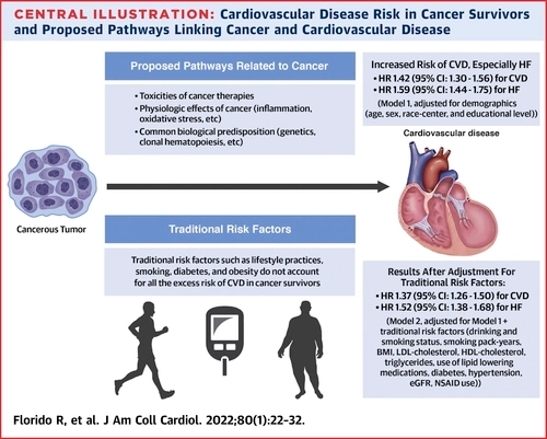Congratulations to @FloridoRoberta on her important paper on CVD risk in cancer survivors in the #ARIC cohort From @jaccjournals jacc.org/doi/abs/10.101… @JohnsHopkinsEPI @JHUWelchCenter @CiccaroneCenter