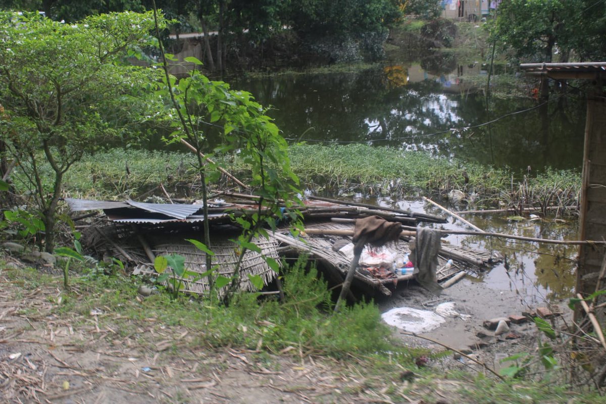 Nandita Gorlosa tweet media