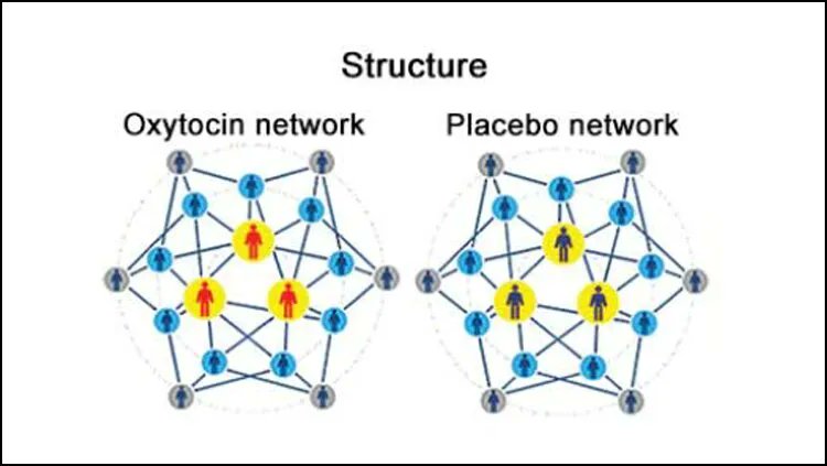 Oxytocin spreads cooperation in social networks buff.ly/3QQsJpw
