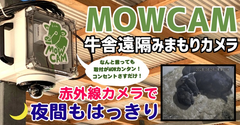 TheBetter0410's tweet photo. 牛舎の様子をスマホで24時間監視できる「MOWCAM(モウカム)」はネット回線不要でコンセントを挿すだけですぐに使えます!
業者いらずでどこでもラクラク設置。夜間の映像も赤外線カメラではっきり見え、牛の緊急事態を見逃しません。
牛舎見守り遠隔監視カメラなら「MOWCAM」