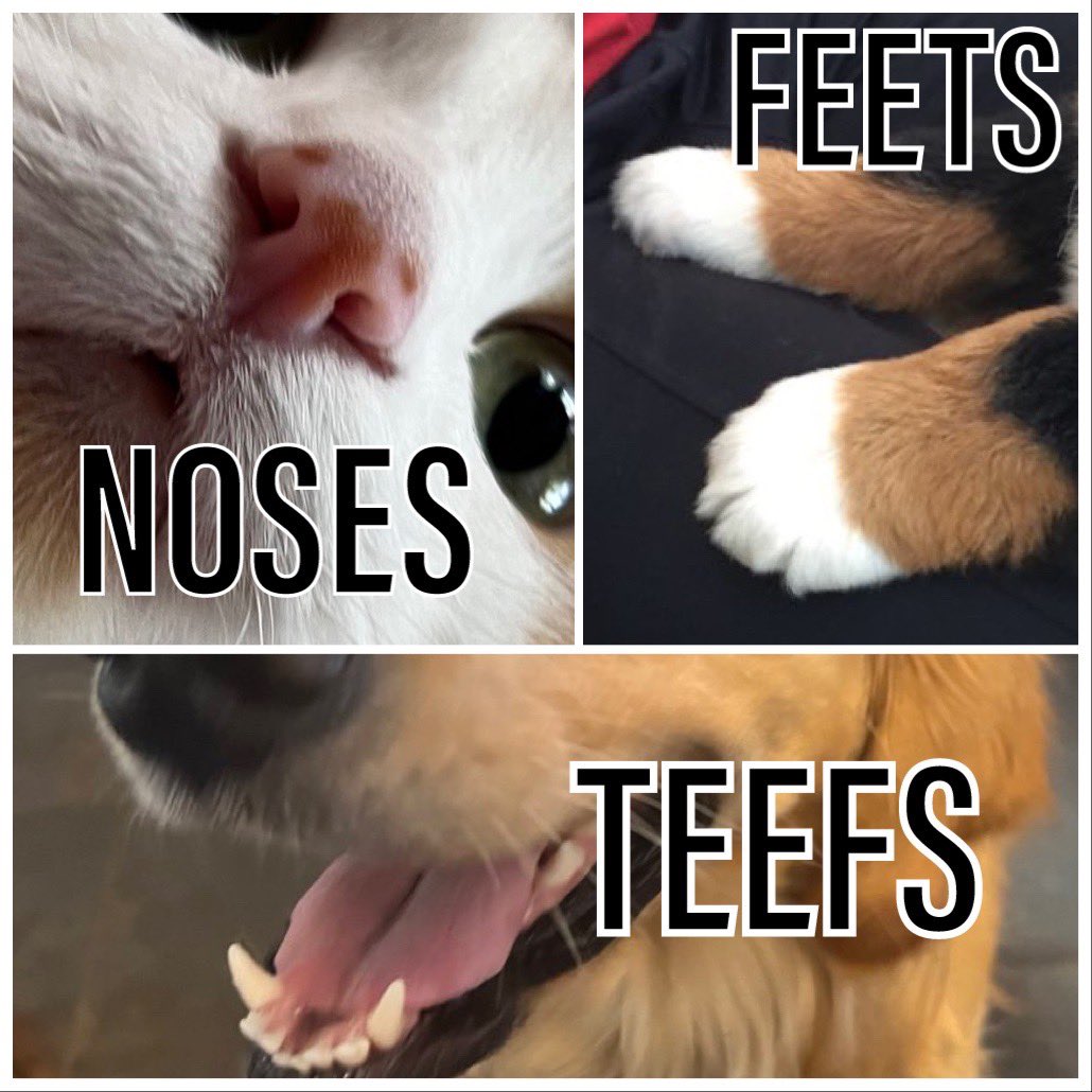 THE VALUE OF NFTS WILL NEVER FALL. #NFT #NFTs #Crypto