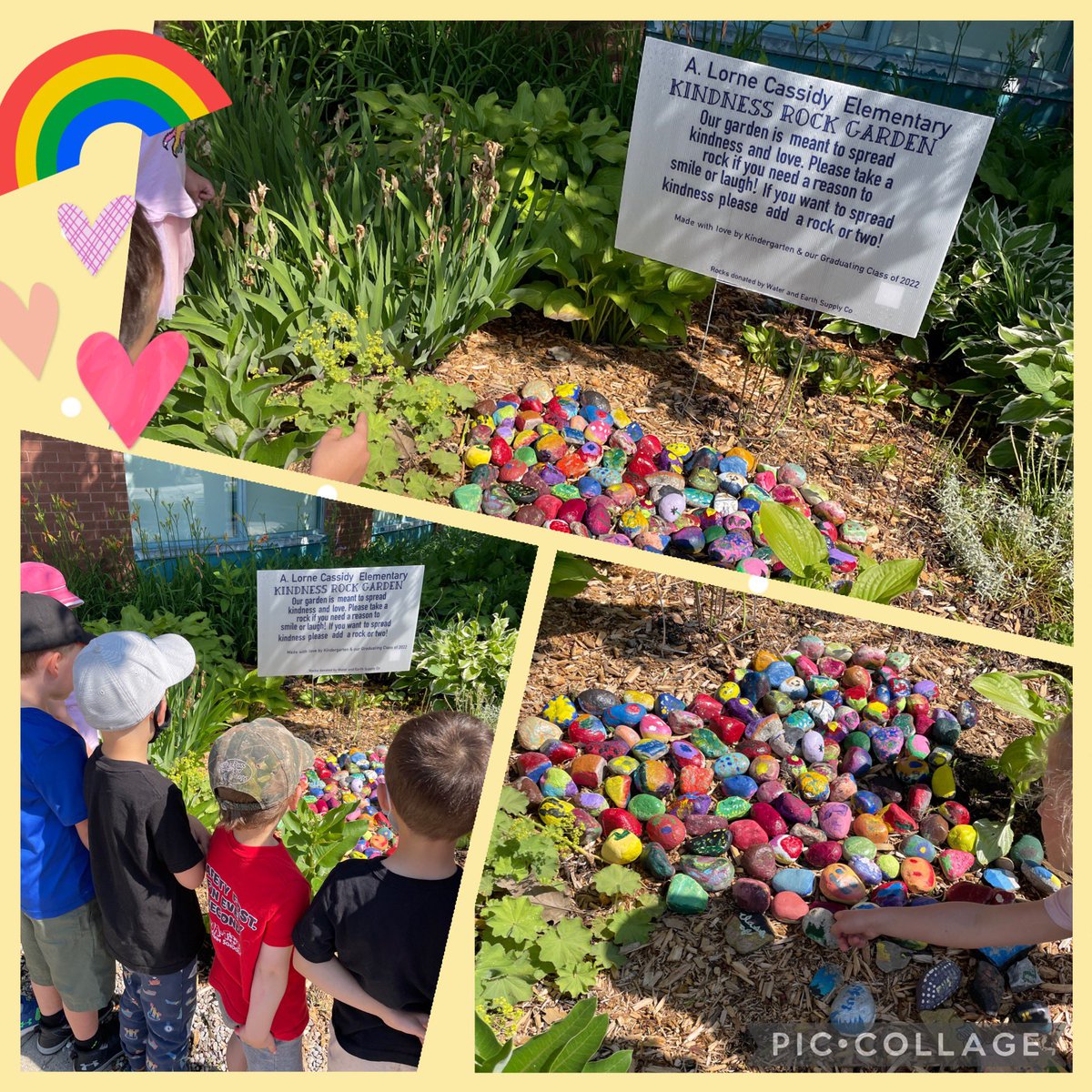 Tweeting in behalf of Mrs. Mackay, who organized this beautiful end of year collaborative art project between our kinders &amp; graduating Gr.8s! <a href="/ALorneCassidy/">A Lorne Cassidy</a> has a new Kindness Rock Garden out front.😊Thanks to Water &amp; Earth Supply Co. for the generous donation of rocks!