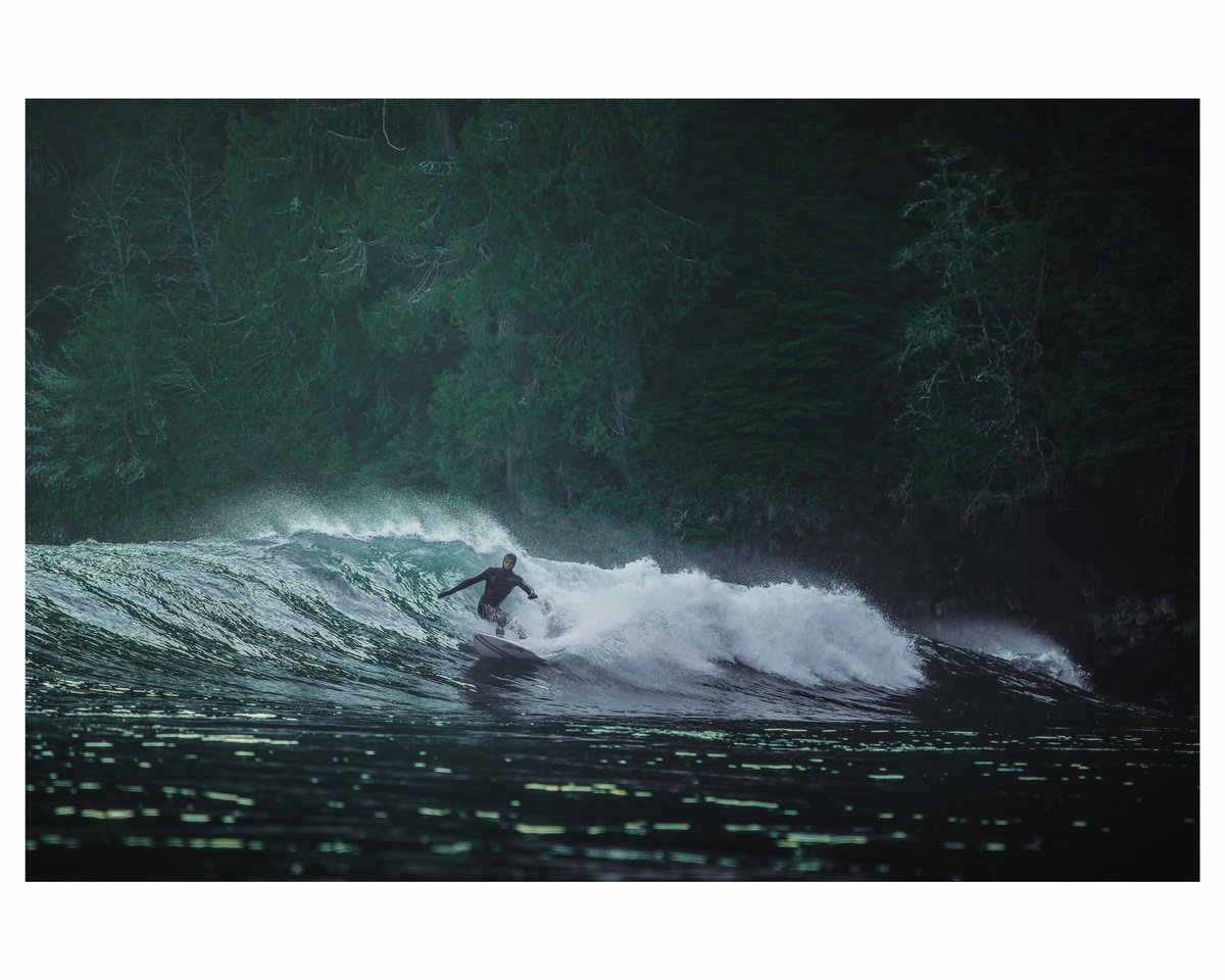 Robbybennphoto's tweet photo. Surfing in the woods of British Columbia 🤙
#surfing #coldwatersurf @NordicSurfers https://t.co/pBGEiWnHqB